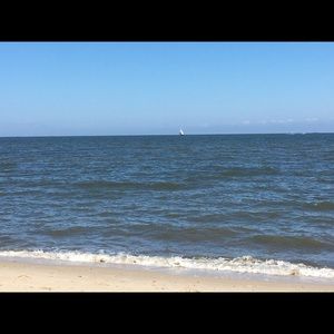 Meet your Posher, Allyson